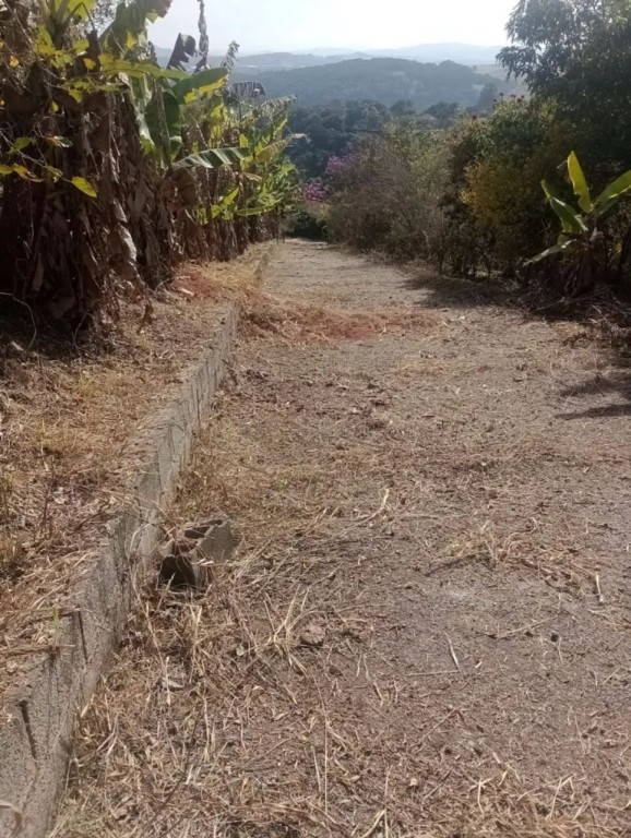 Foto - Atibaia - Vitória Régia