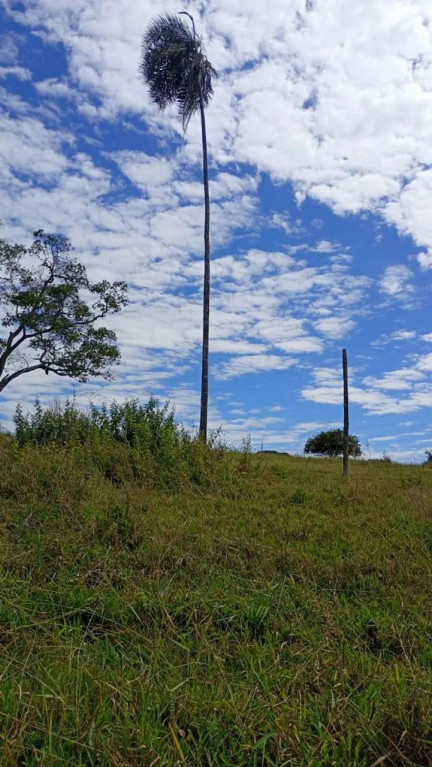 Foto - Senador Canedo - 