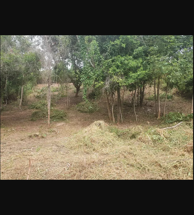 Primeira imagem do imóvel
