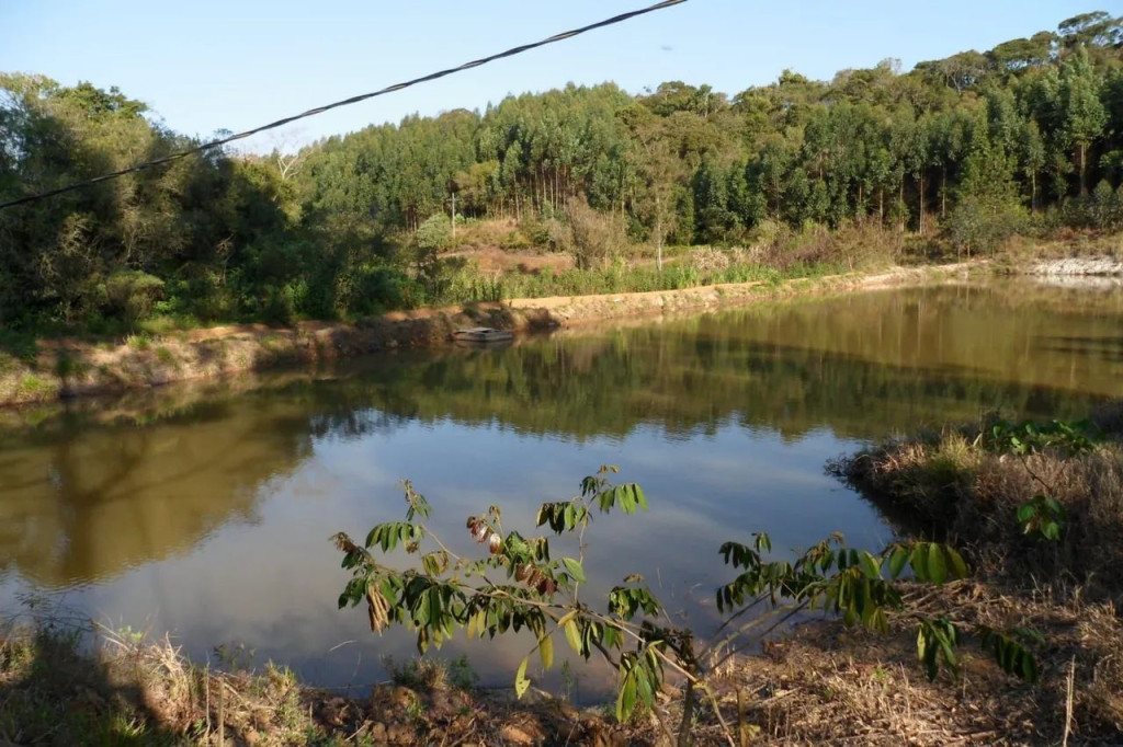 Foto - Piedade - 