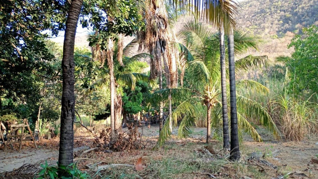 Foto - Brasília - Taguatinga Sul (Taguatinga)