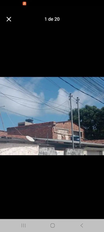 Foto - Paulista - Pau Amarelo