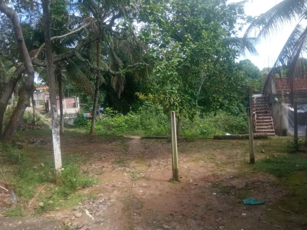 Foto - Olinda - Sapucaia