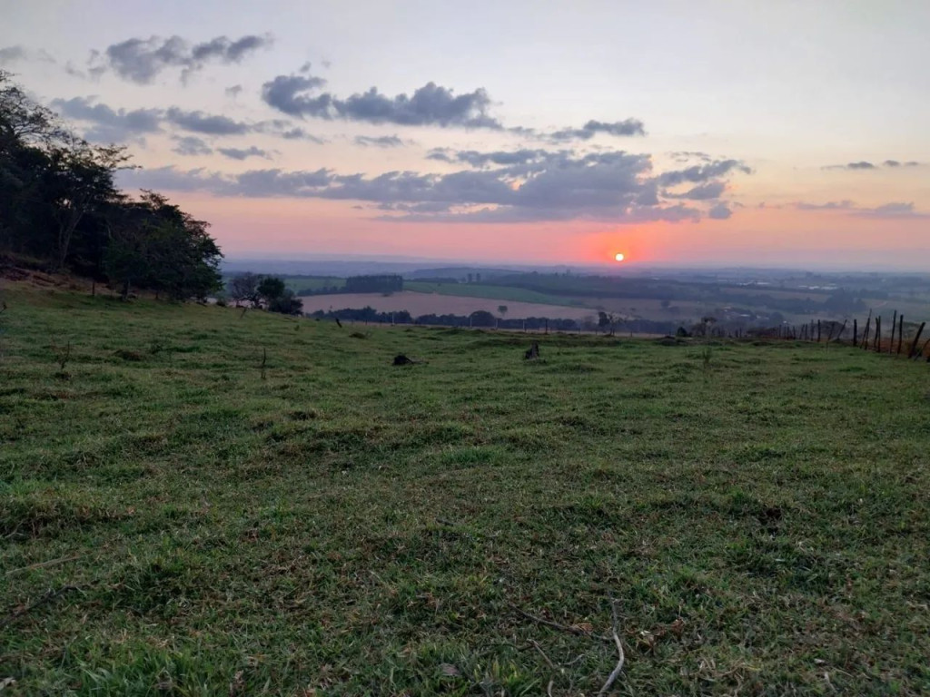 Foto - Ribeirão Preto - Jardim Palma Travassos