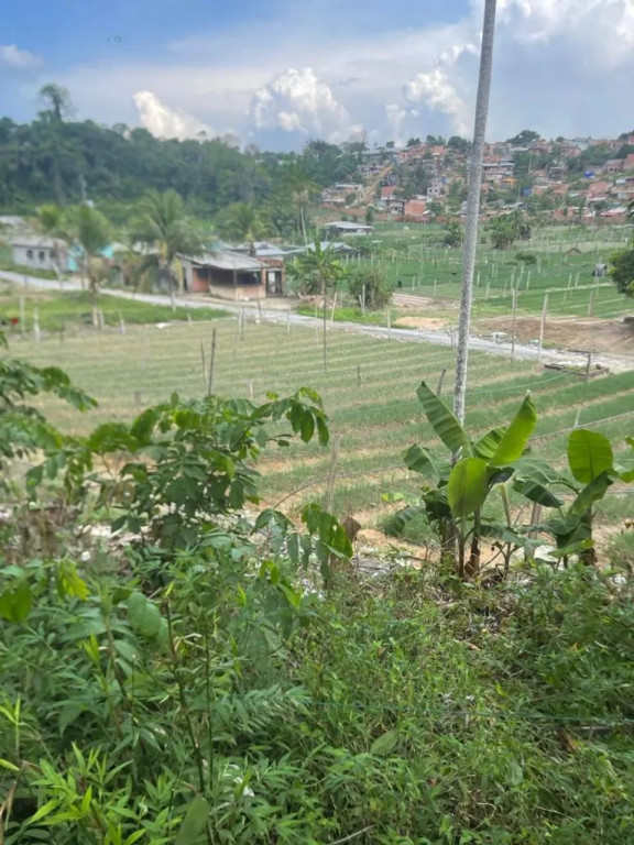 Foto - Manaus - Mauazinho