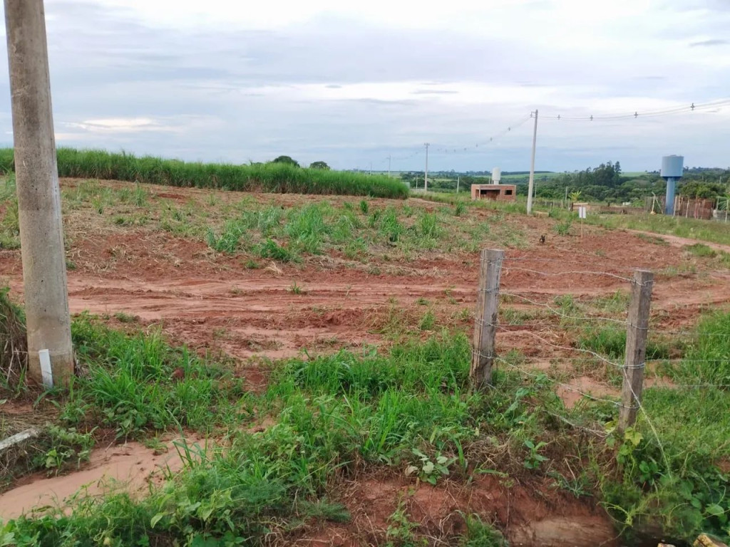 Foto - Mirassol - Residencial Regissol I