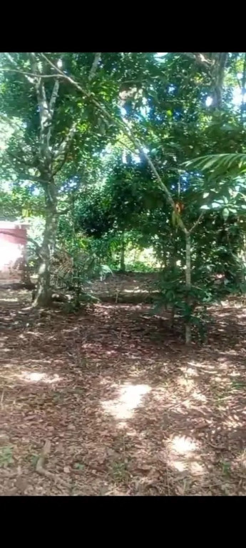 Foto - Manaus - Jorge Teixeira