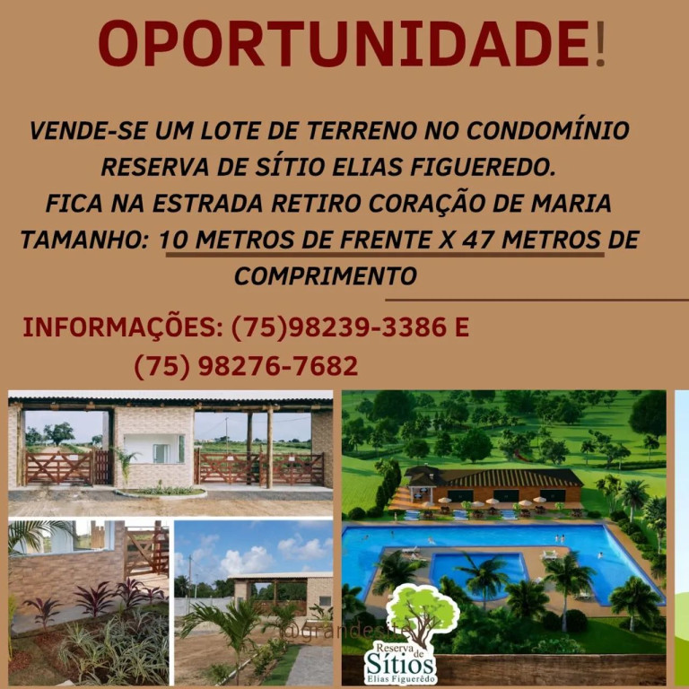 Foto - Feira de Santana - Muchila
