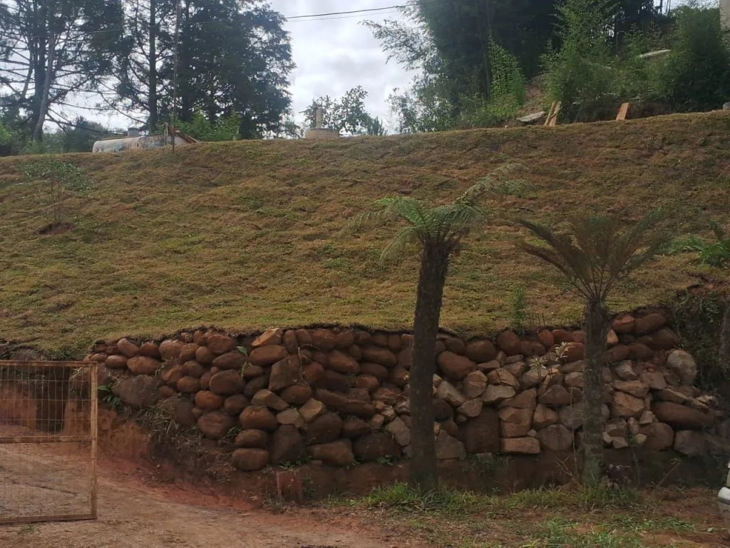 Foto - São José dos Pinhais - Área Rural de São José dos Pinhais