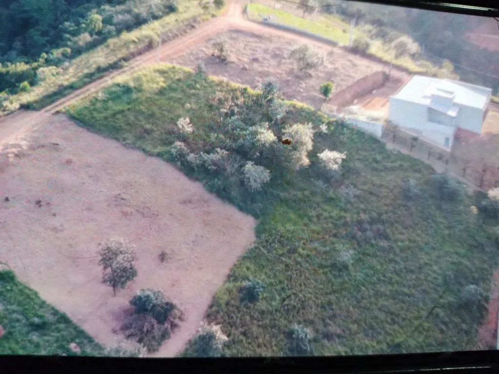 Foto - São José dos Campos - Bosque dos Eucaliptos