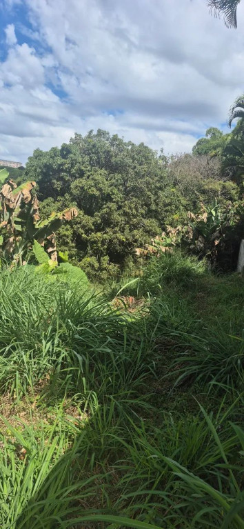 Foto - Brasília - Setor Habitacional Arniqueira (Águas Claras)