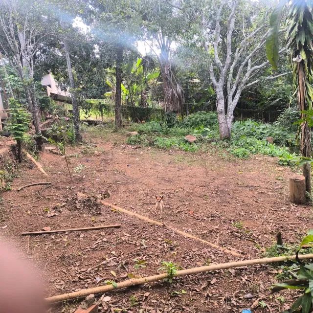 Foto - Brasília - Setor Habitacional Arniqueira (Águas Claras)