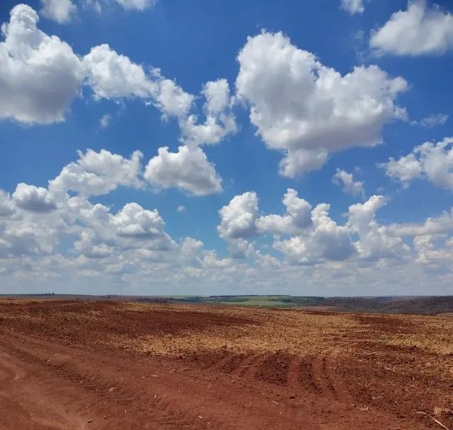 Foto - Araraquara - Centro