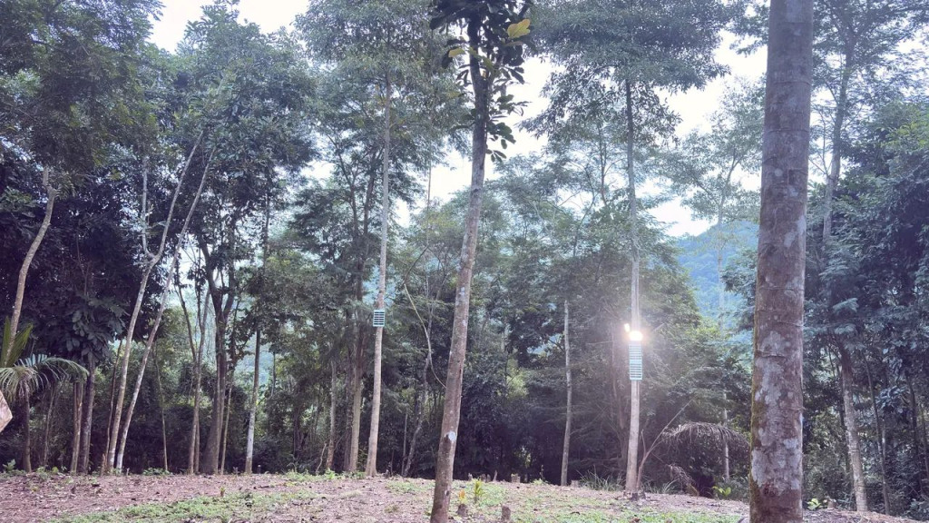 Foto - Rio de Janeiro - Campo Grande