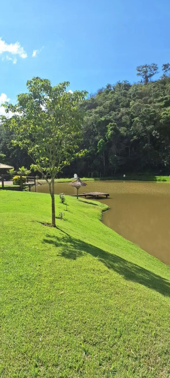 Foto - Piraí - Arrozal