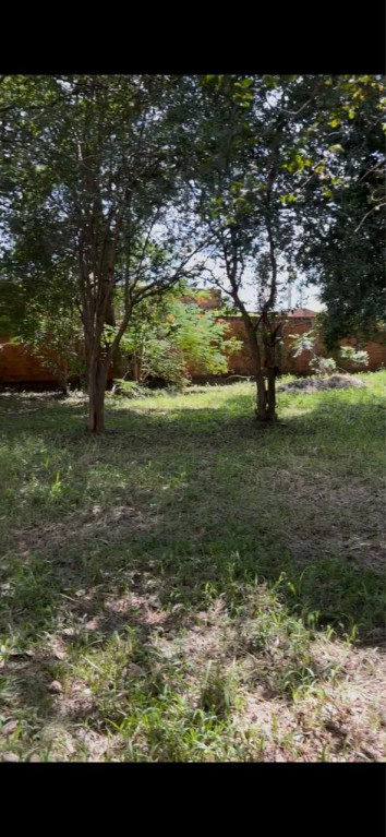 Foto - São Paulo - Barro Branco (Zona Norte)