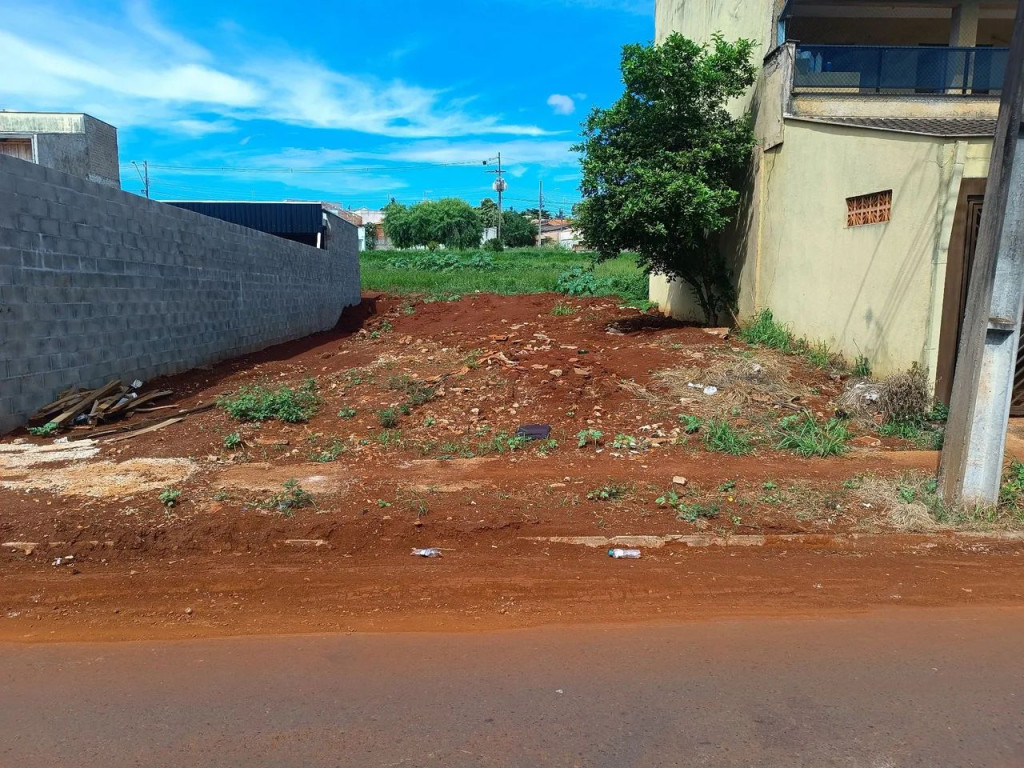 Foto - Londrina - João Paz