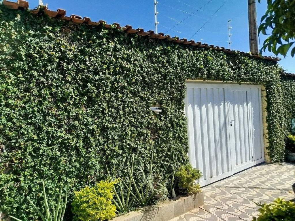 Foto - Campinas - Jardim Novo Campos Elíseos