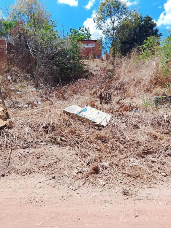 Foto - Teresina - Angelim