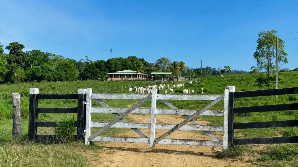 Foto - Altamira - Brasília