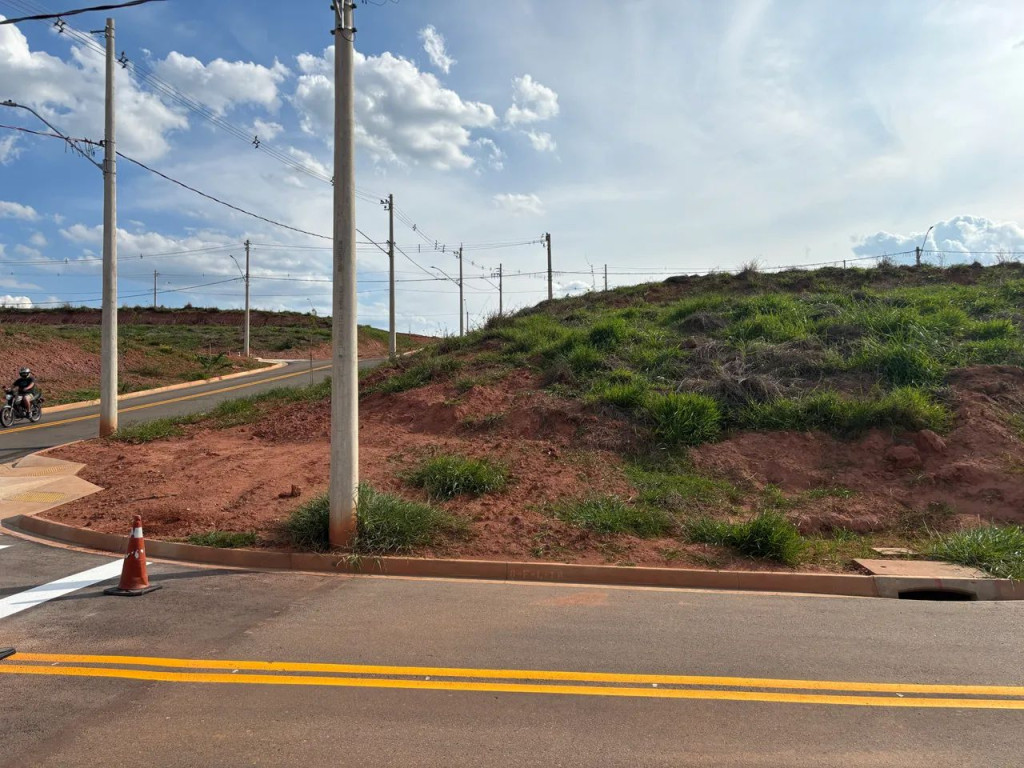 Foto - São José dos Campos - Bosque dos Eucaliptos