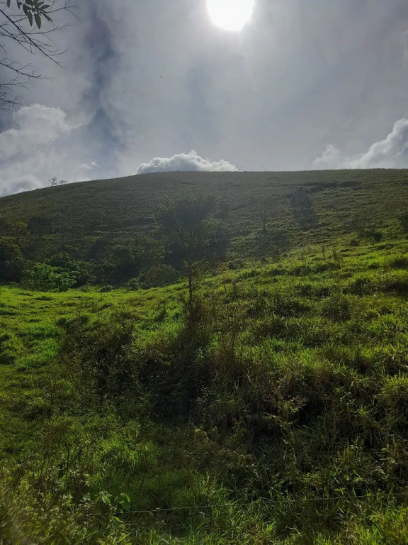 Foto - São José dos Campos - Jardim Telespark
