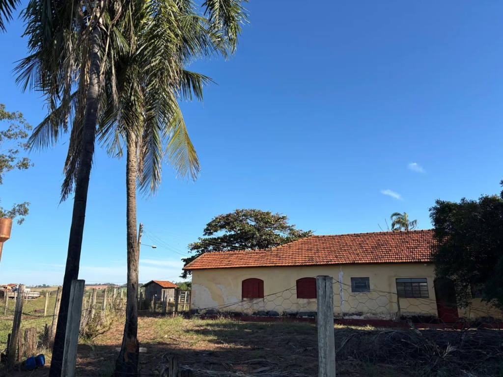 Foto - Fernandópolis - Centro