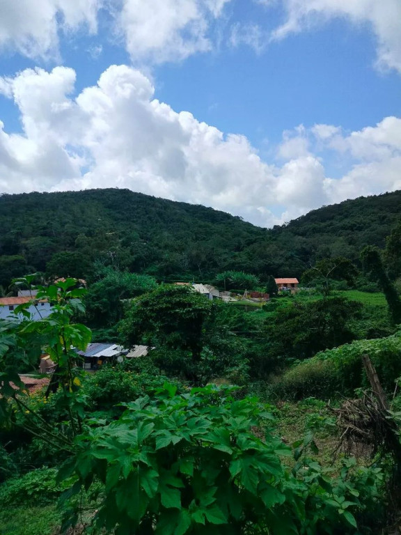 Foto - Guaramiranga - 