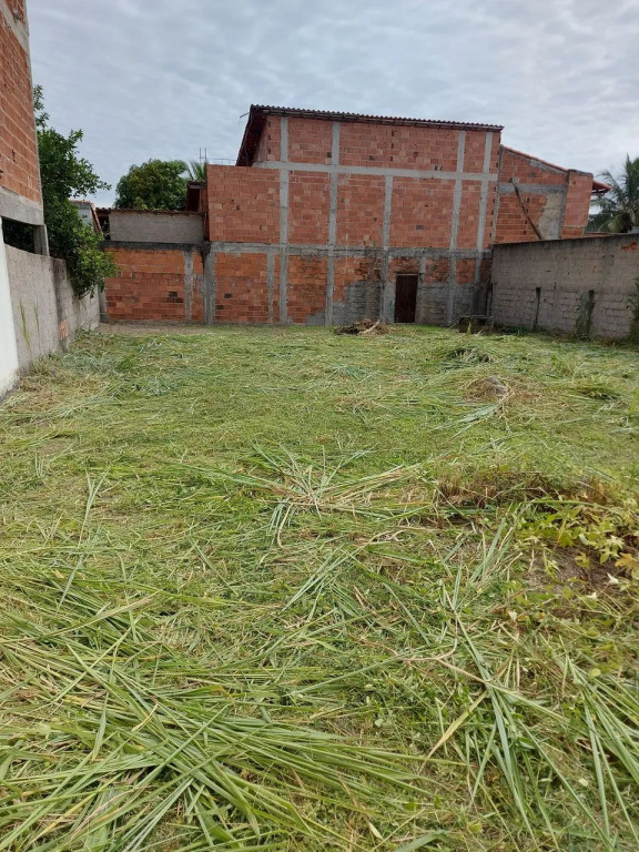 Foto - São Gonçalo - Galo Branco