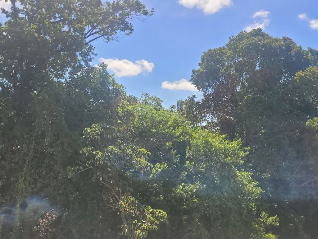 Foto - Ribeirão Preto - Jardim José Sampaio Júnior