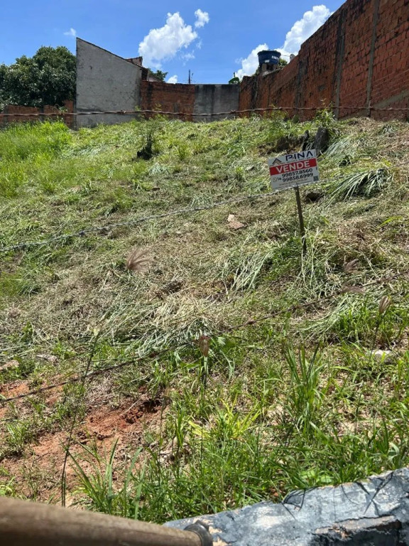Foto - Marília - Jardim dos Lírios