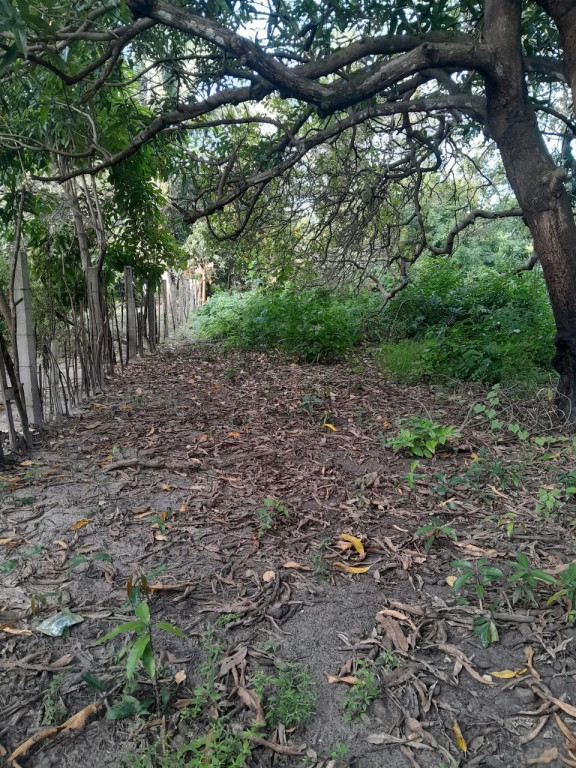 Foto - São Luís - Jardim São Cristóvão