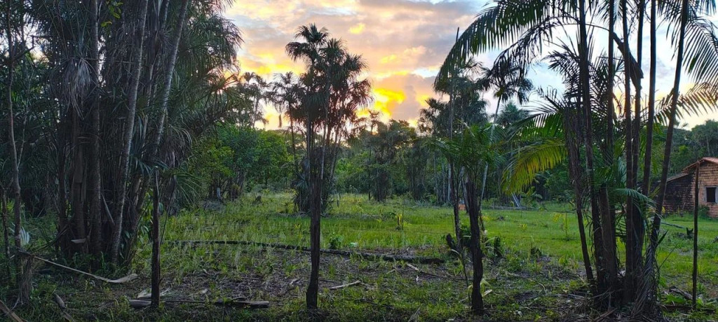 Foto - Belém - Ariramba (Mosqueiro)