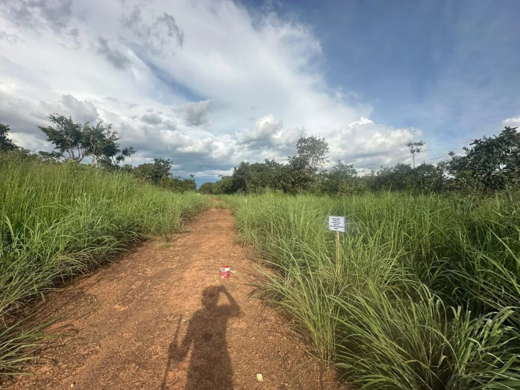 Foto - Luziânia - Parque Estrela Dalva VII