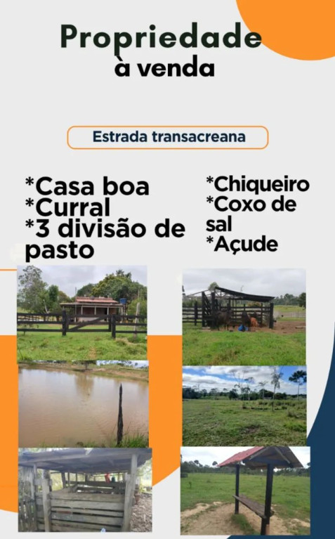 Foto - Rio Branco - Chico Mendes