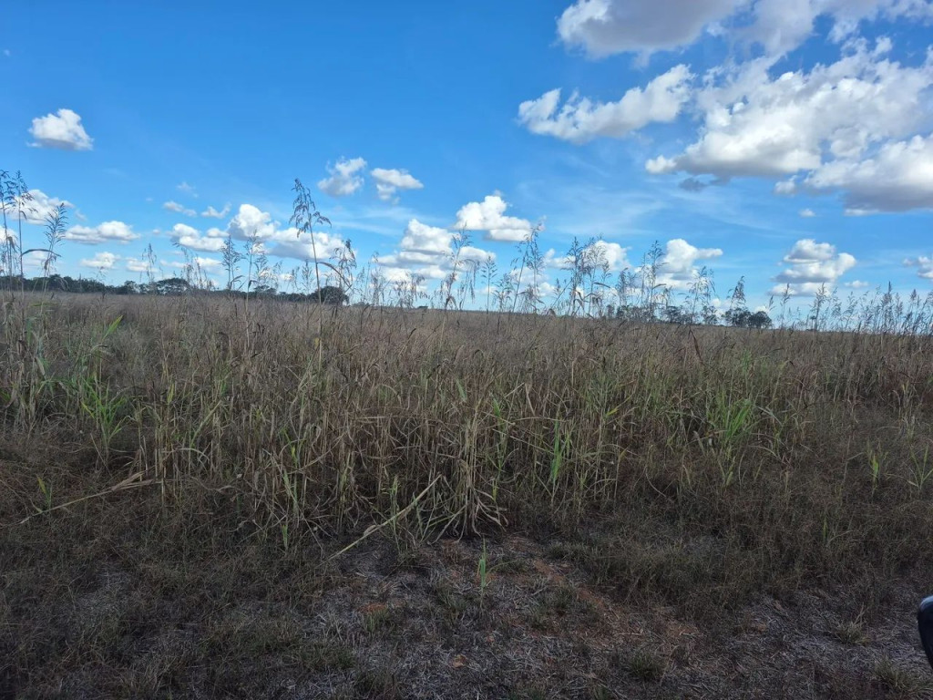 Foto - Goiânia - Setor Sudoeste