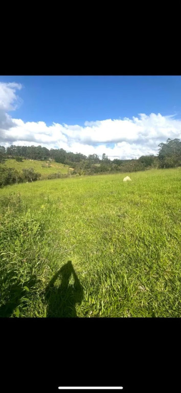 Foto - Piedade dos Gerais - 