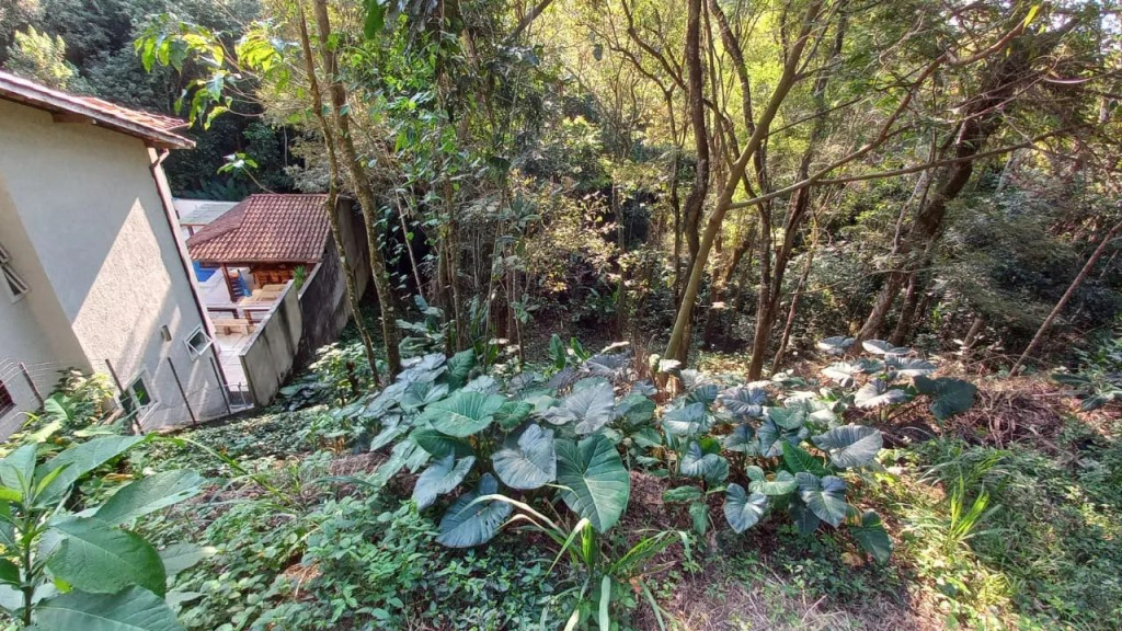 Foto - Niterói - Sapê