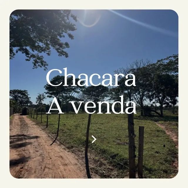 Foto - Fernandópolis - Centro