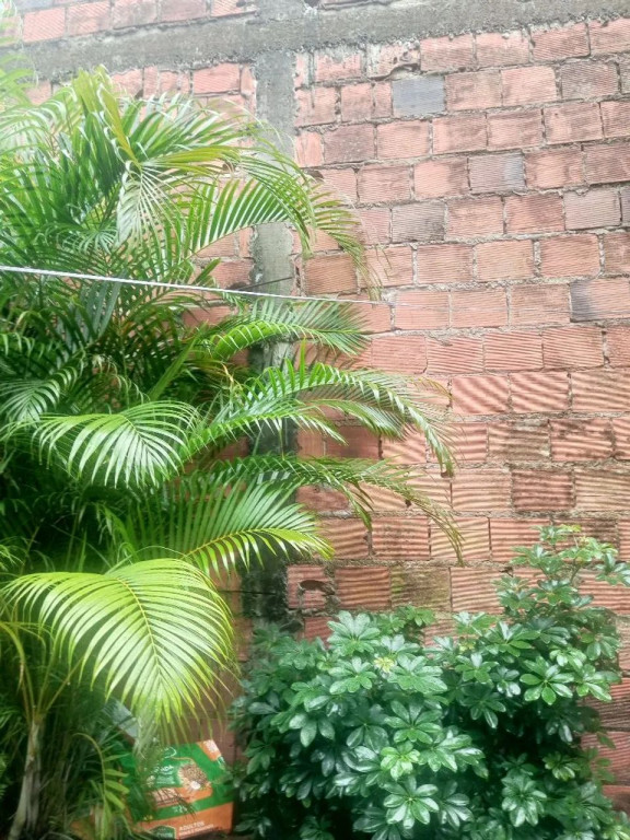 Foto - Salvador - Coutos