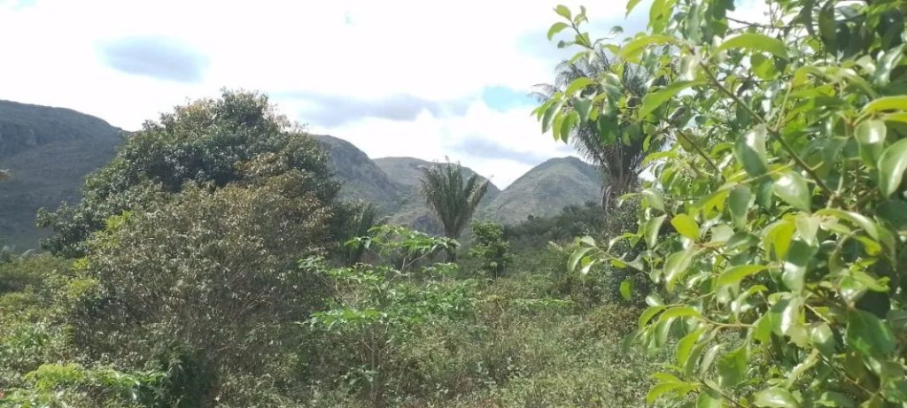Foto - Saúde - 