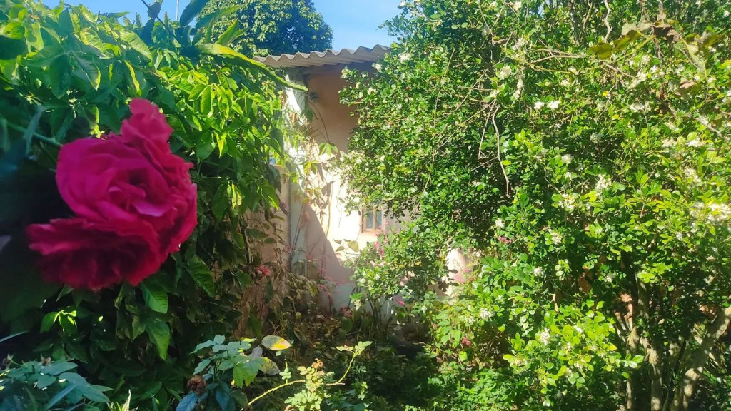 Foto - Serra - Boa Vista I