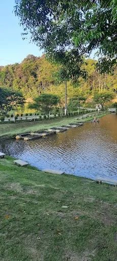 Foto - São Paulo - Horto Florestal