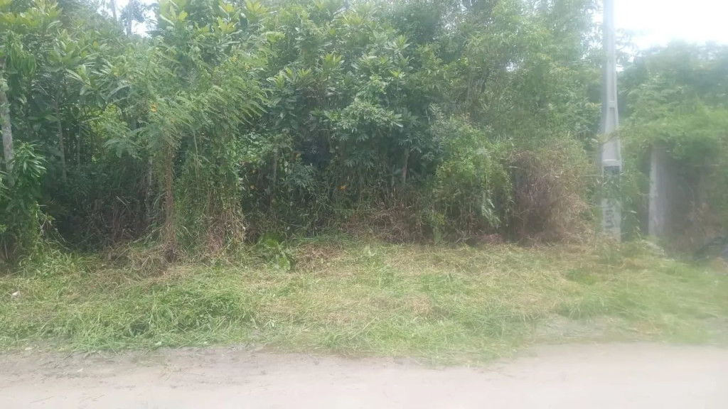 Foto - Mongaguá - 