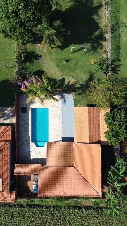 Foto - Limeira - Tatu