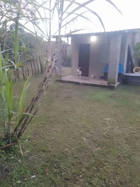 Foto - Mongaguá - 