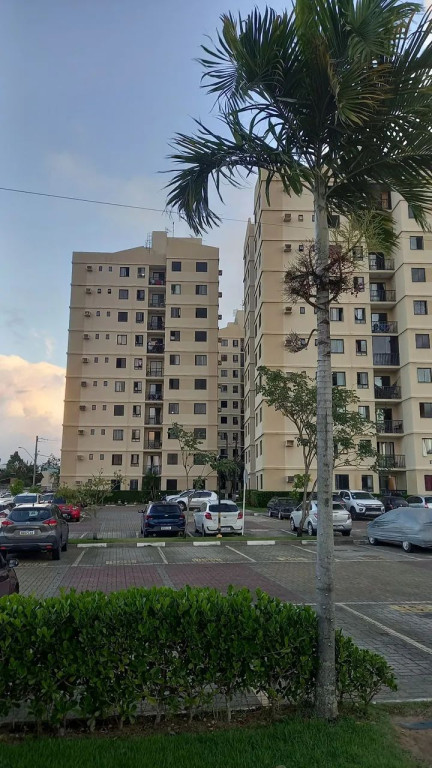 Foto - Salvador - Jardim das Margaridas