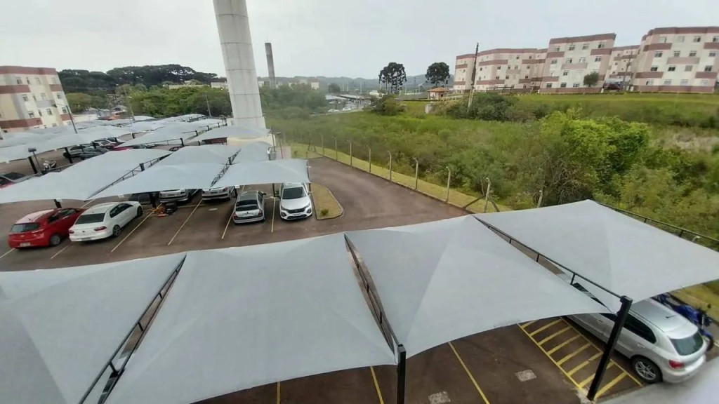 Foto - Araucária - Thomaz Coelho