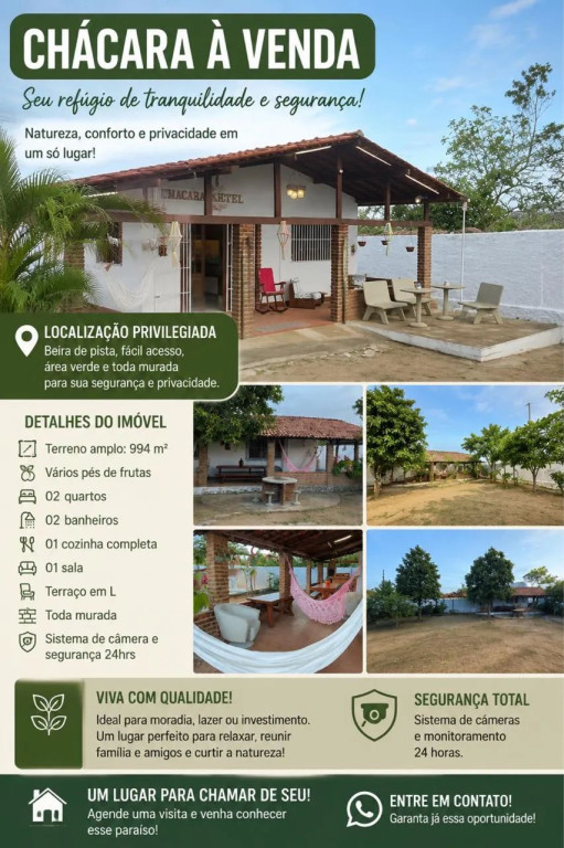 Foto - Bezerros - 