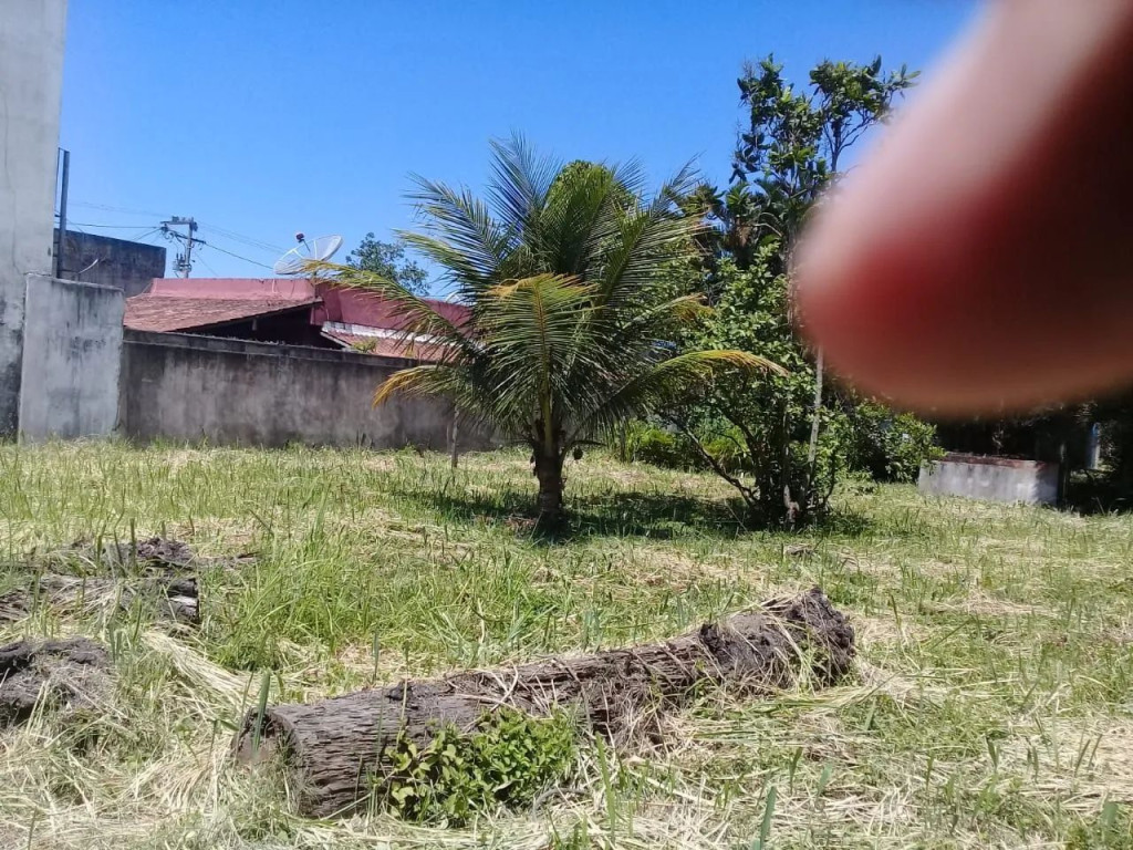 Foto - Campos dos Goytacazes - Parque Rosário
